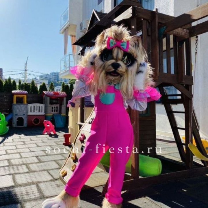 Аниматор Гламурная Собака в Стерлитамаке
