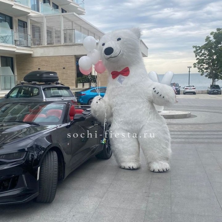 Аниматор Белый Медведь в Стерлитамаке