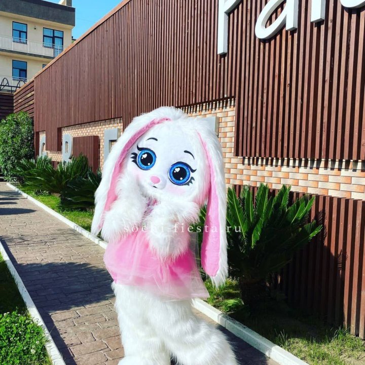 Аниматор Зайка в Стерлитамаке