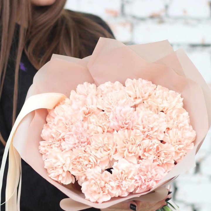 Диантусы №2 в Стерлитамаке