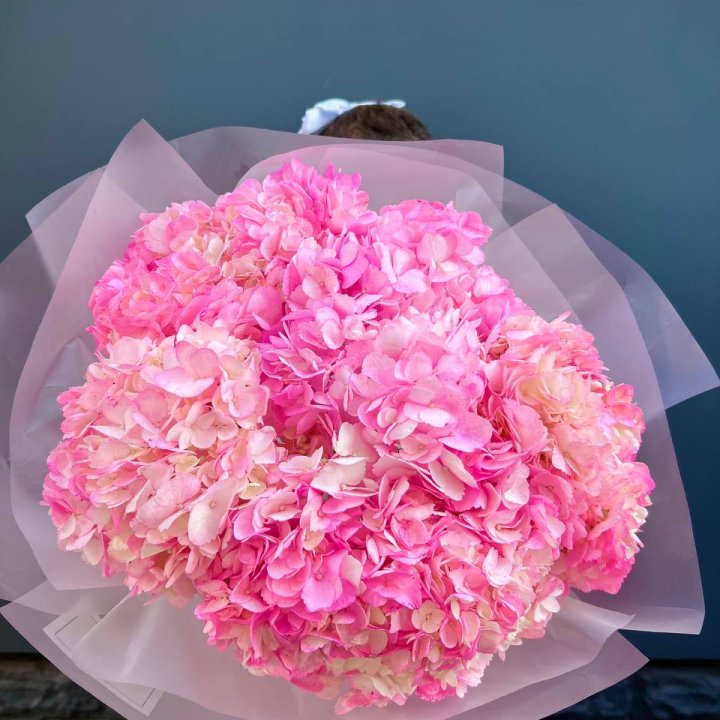 9 ярко розовых гортензий в Стерлитамаке