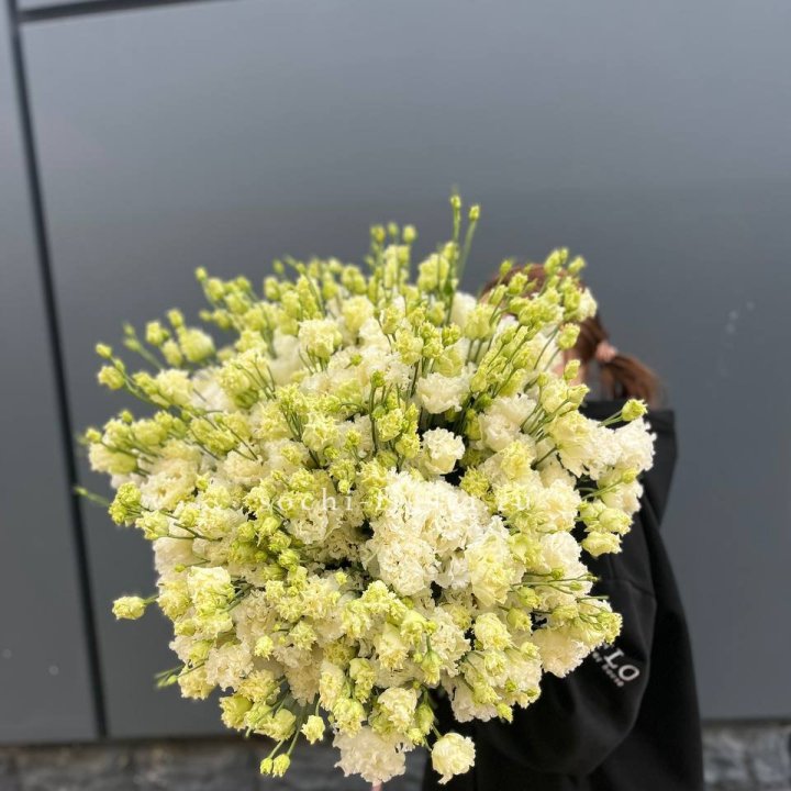 51 белая эустома в Стерлитамаке