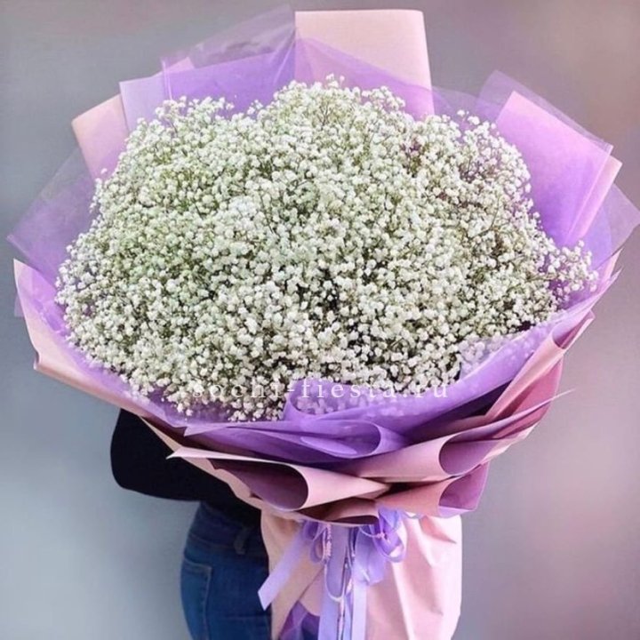 Облако белых гипсофил в Стерлитамаке