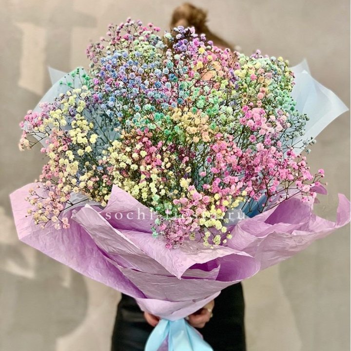 Радужные гипсофилы №2 в Стерлитамаке