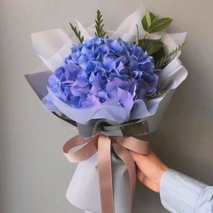 Гортензия голубая в Стерлитамаке