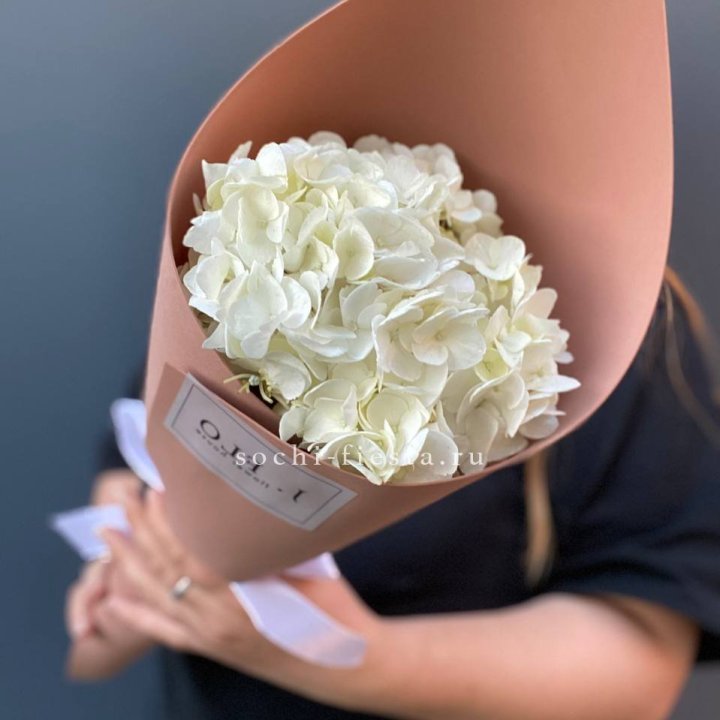 Гортензия в конверте в Стерлитамаке