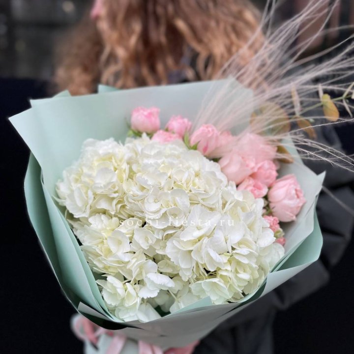 Гортензия "Жасмин" в Стерлитамаке