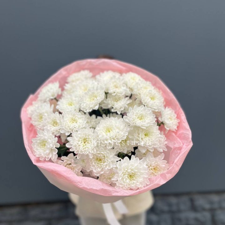  5 хризантем  в Стерлитамаке