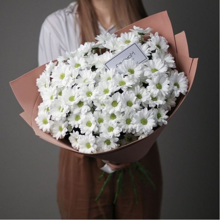 Хризантемы в крафте в Стерлитамаке