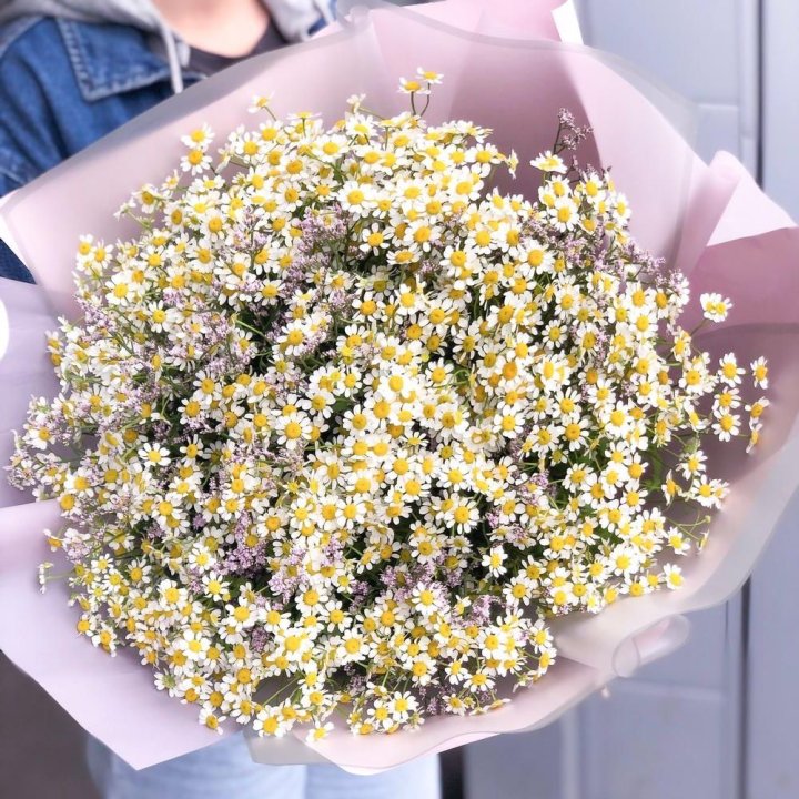 Букет ромашек №1 в Стерлитамаке