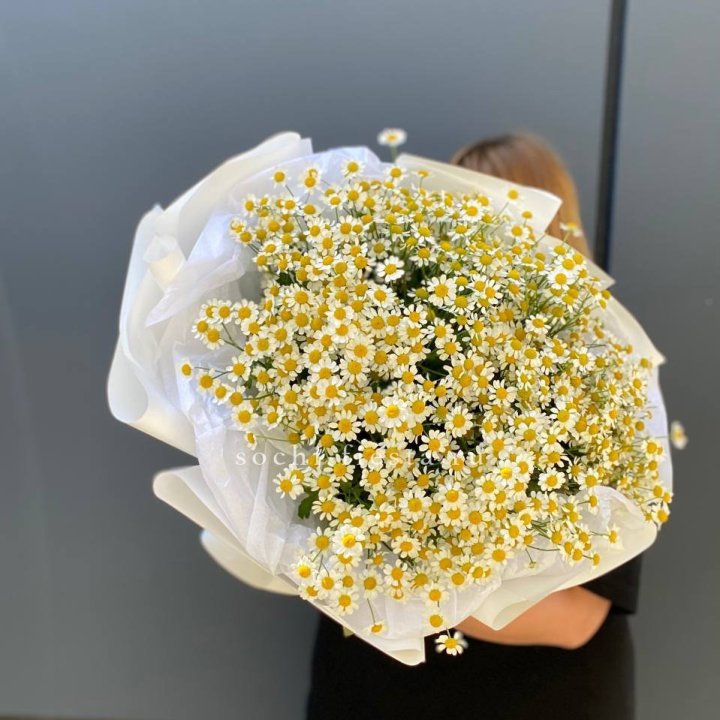 Букет ромашек "Фемели" в Стерлитамаке