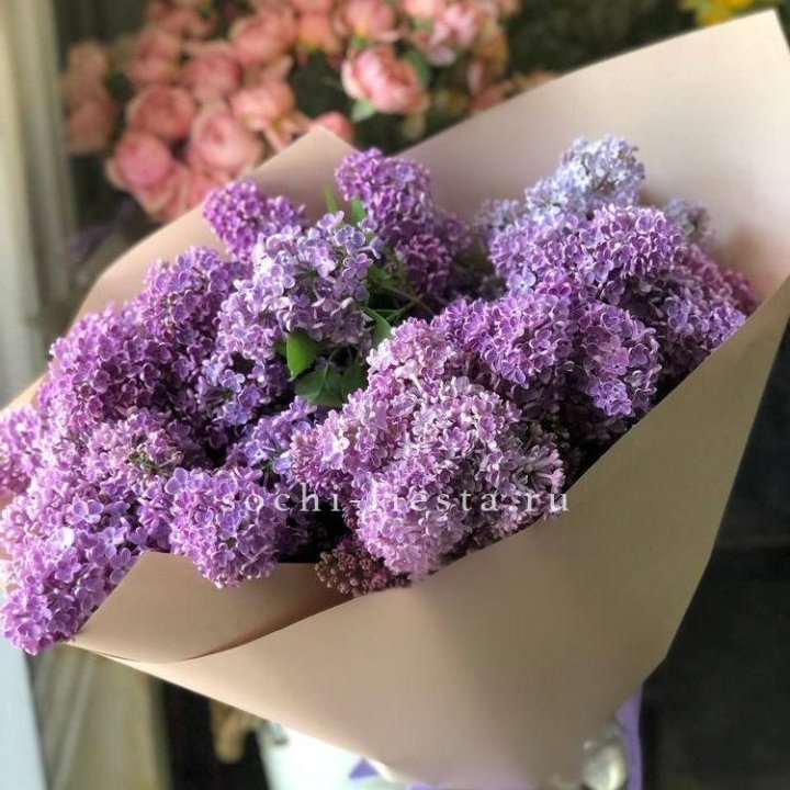 Букет сирени №2 в Стерлитамаке