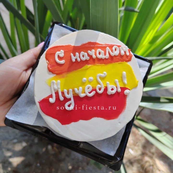 Бенто-торт "С началом учёбы"" в Стерлитамаке