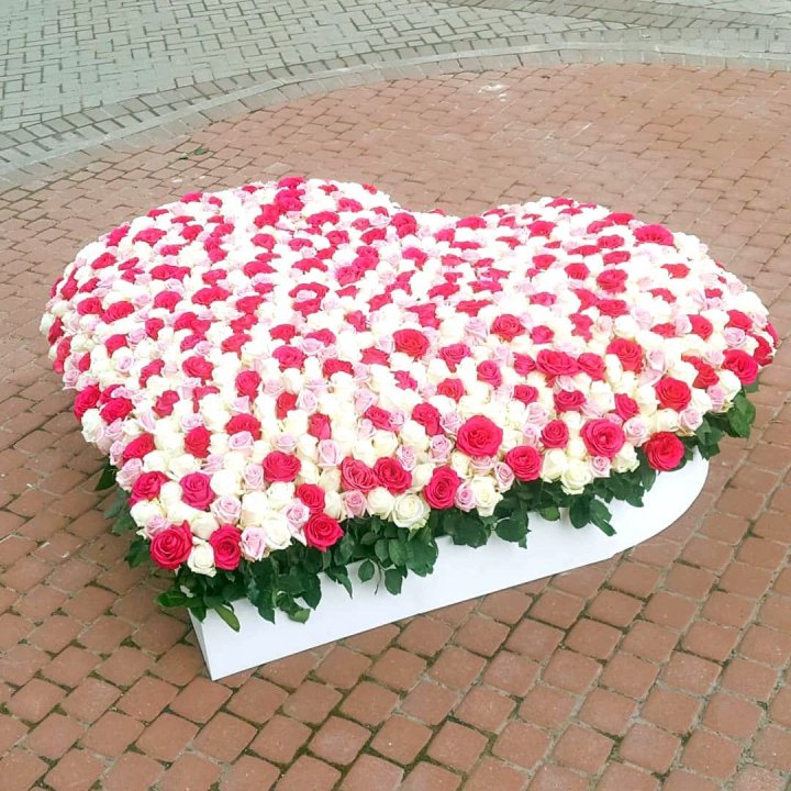 555 роза  в Стерлитамаке