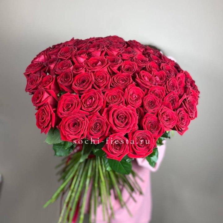 101  голландская роза  в Стерлитамаке