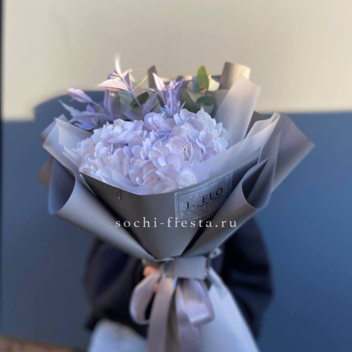 Гортензия "Виолета" в Стерлитамаке