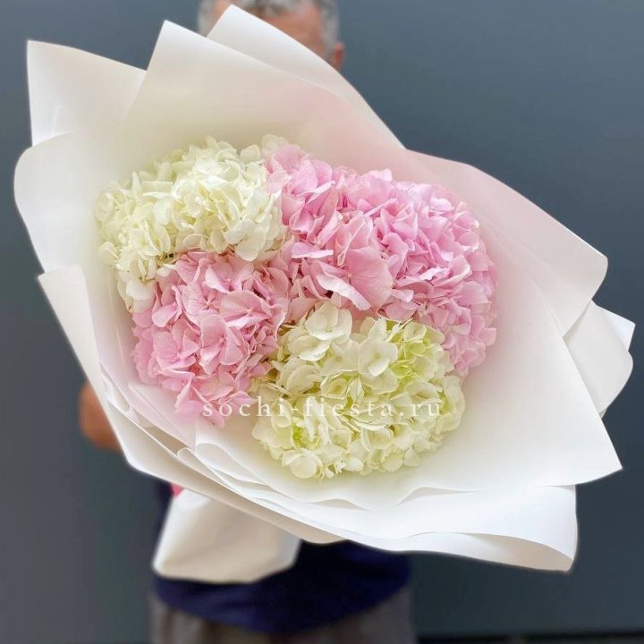 Букет гортензий №5 в Стерлитамаке