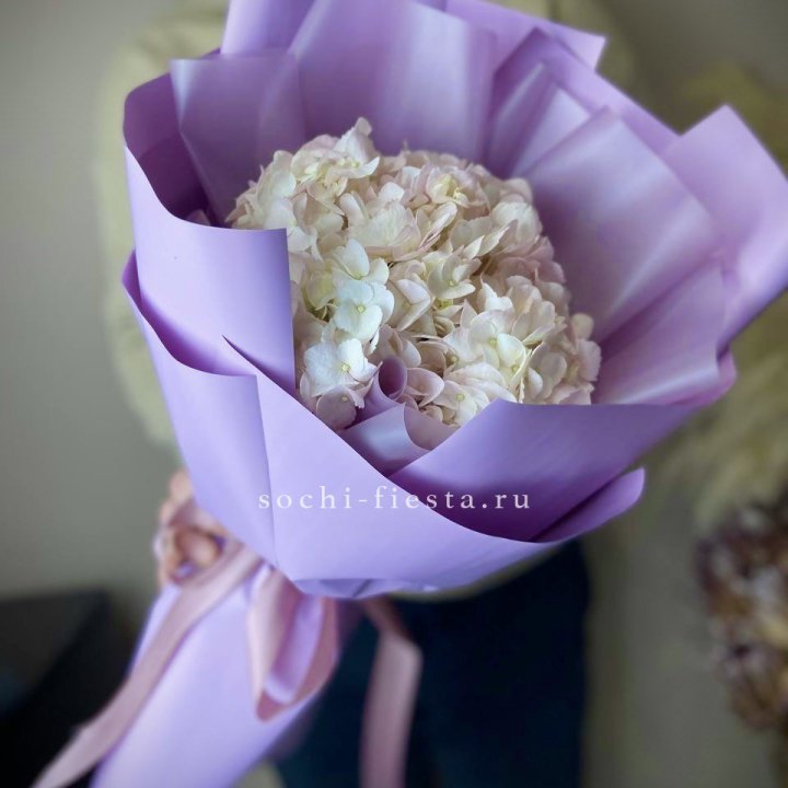 Гортензия розовая в Стерлитамаке