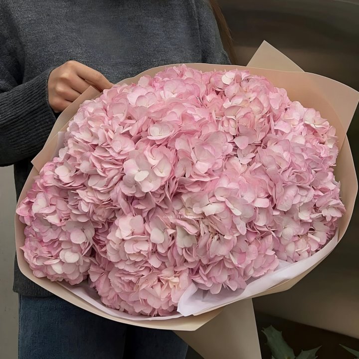 Гортензия  "РОЗЕ" в Стерлитамаке