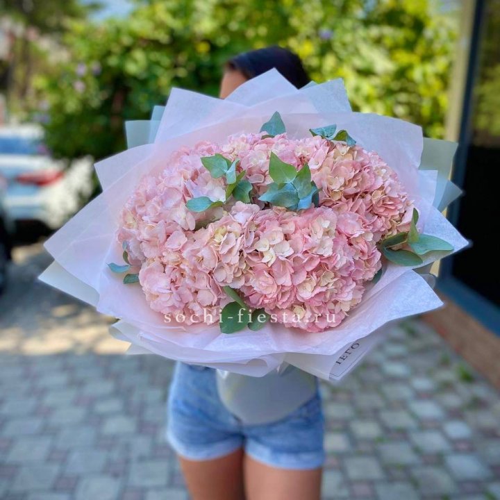 5 розовых гортензий  в Стерлитамаке