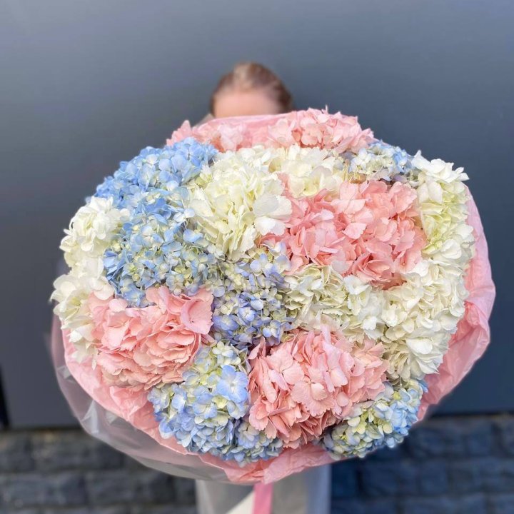 19 гортензий микс в Стерлитамаке