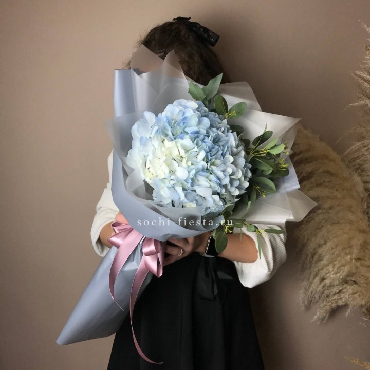 Гортензия Уно в Стерлитамаке