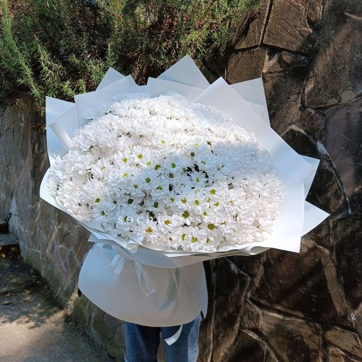 Облако хризантем №2 в Стерлитамаке