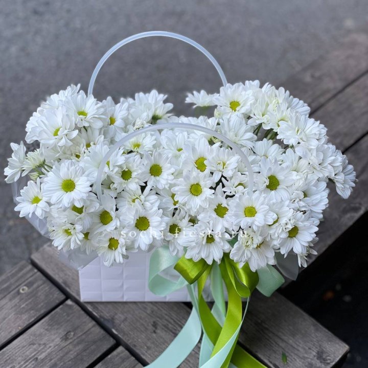 Сумка с хризантемами ромашками в Стерлитамаке