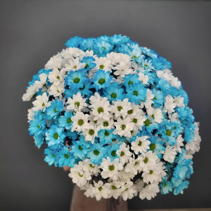  Букет хризантем микс в Стерлитамаке