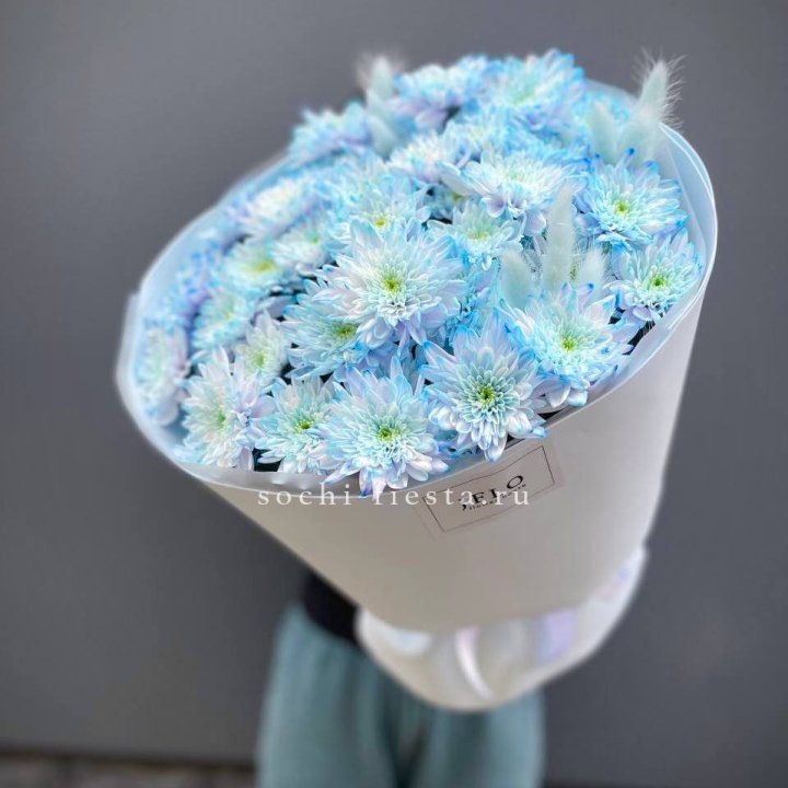  Букет нежно-голубых хризантем  в Стерлитамаке