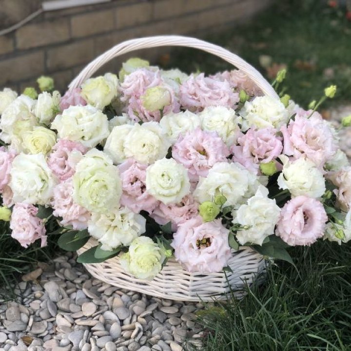 Корзина с эустомой в Стерлитамаке