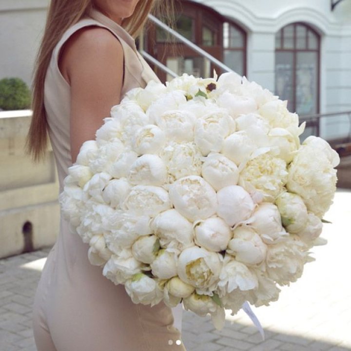 51 белый пион в Стерлитамаке