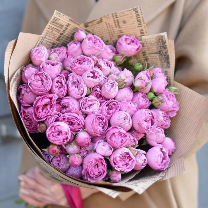 Роза Мисти Баблс в Стерлитамаке