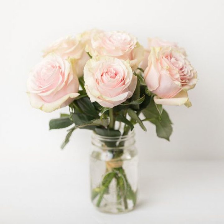 7 кремовых роз в Стерлитамаке