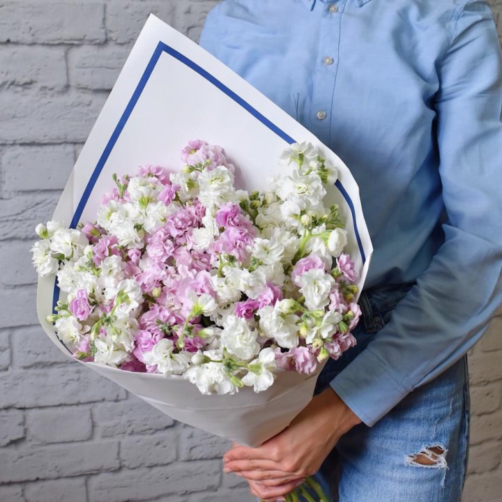 Маттиола в Стерлитамаке