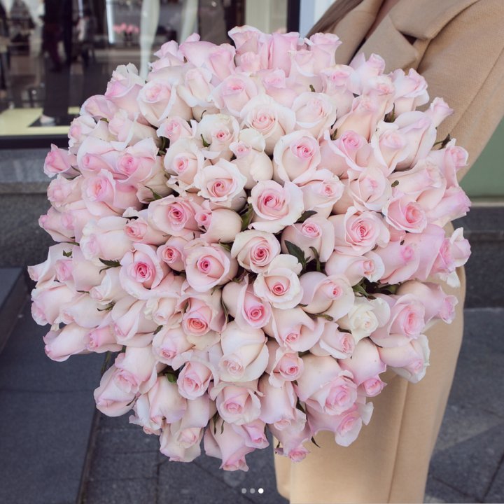 Розы "Пинк бум" в Стерлитамаке