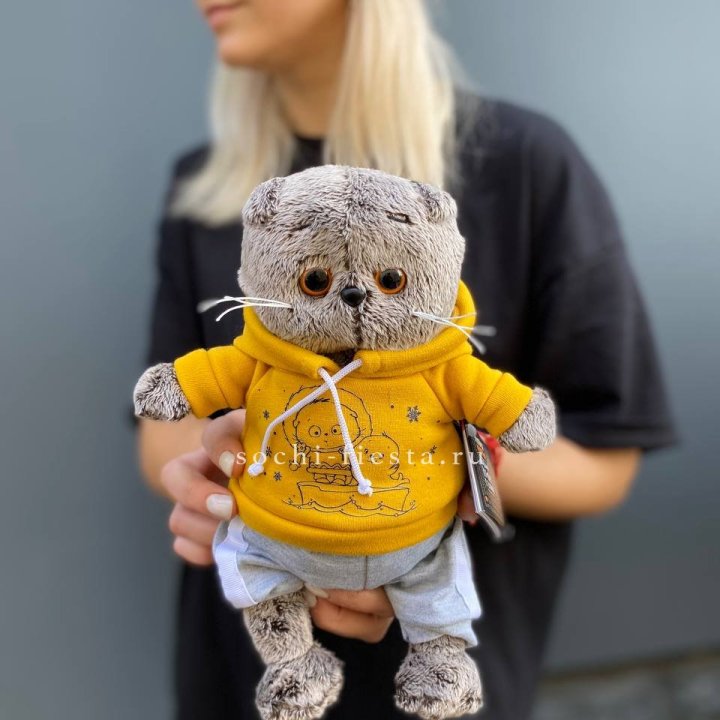 Кот Басик в худи в Стерлитамаке