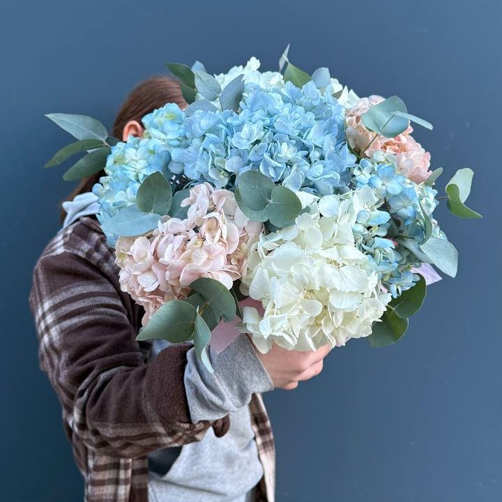 Гортензии в коробочке в Стерлитамаке