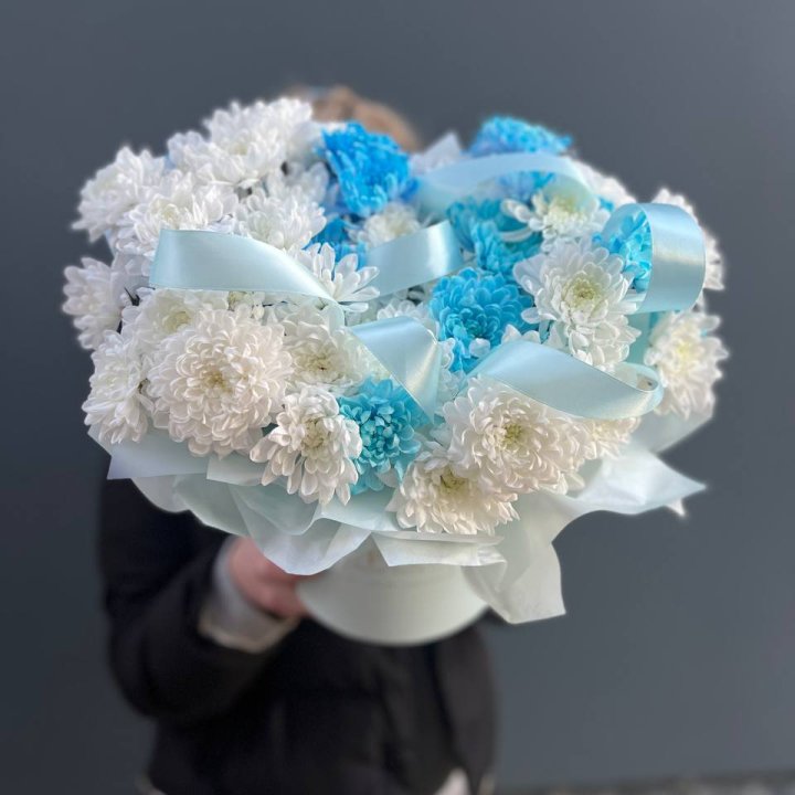 Хризнтемы в боксе в Стерлитамаке