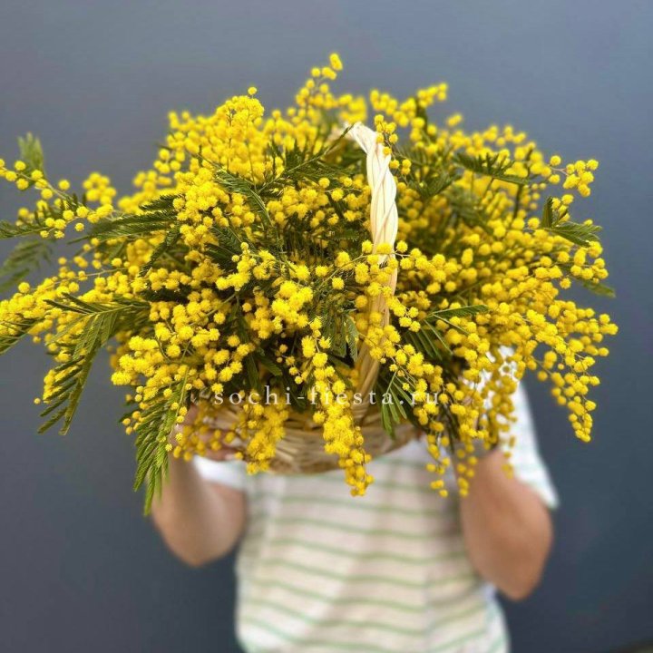 Весенняя корзина мимозы в Стерлитамаке