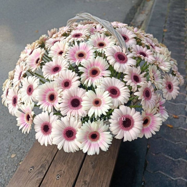 Корзина с герберами  в Стерлитамаке