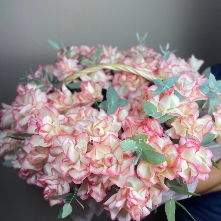 51 джумилия  в корзине   в Стерлитамаке