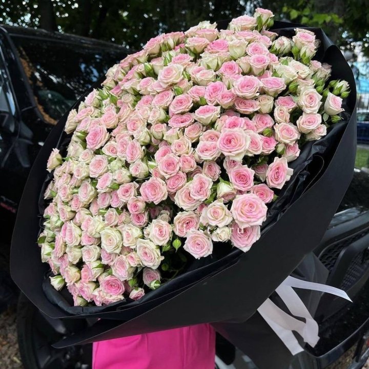 101 кустовая роза "Твистер" в Стерлитамаке