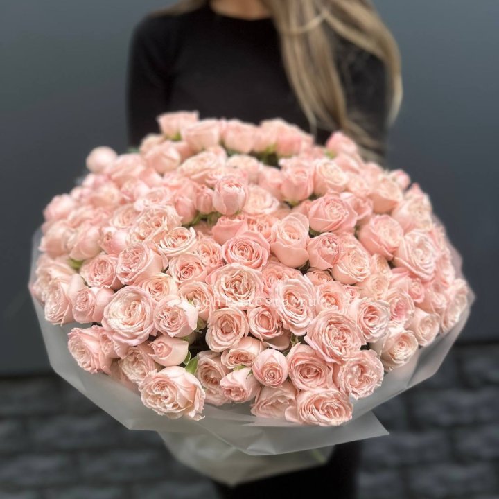 51 кустовая роза Бомбастик в Стерлитамаке