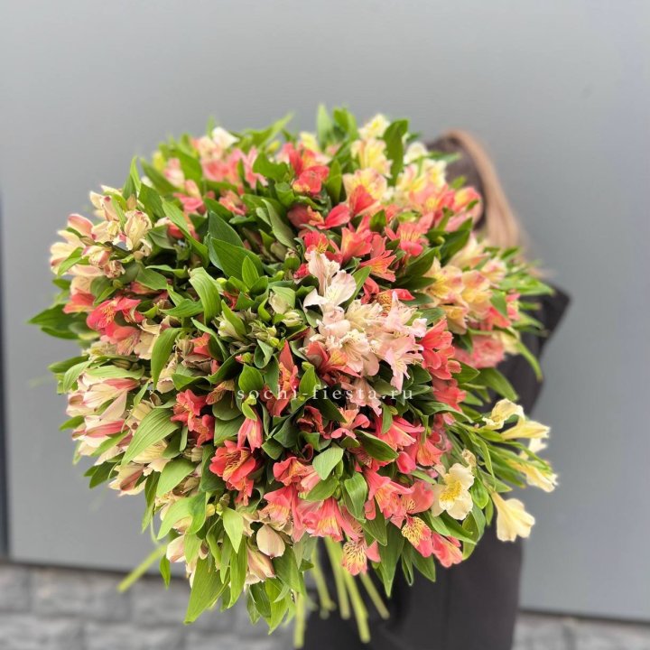 51 альстромерия в Стерлитамаке