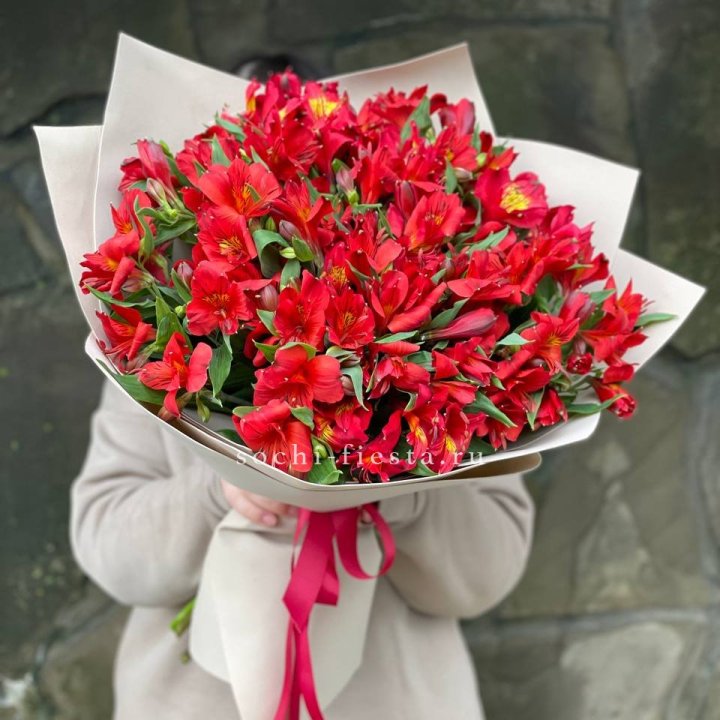 51 альстромерия в Стерлитамаке