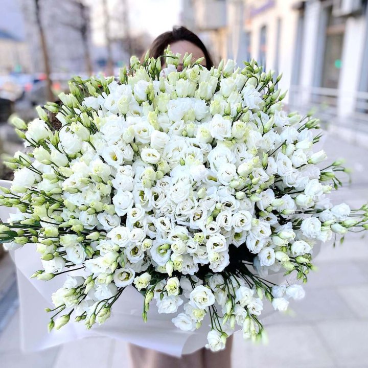 101 белая эустома в Стерлитамаке