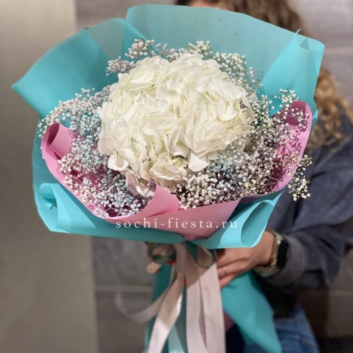 Гортензия "Райдов" в Стерлитамаке