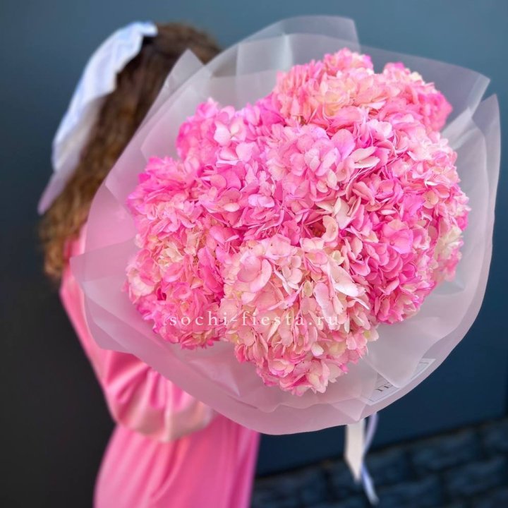 7 ярко розовых гортензий в Стерлитамаке