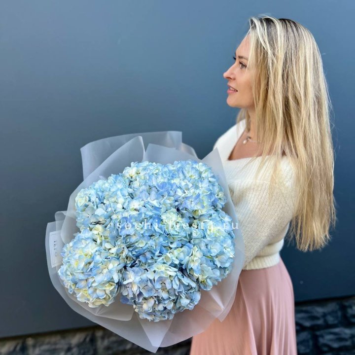 7 голубых гортензий в Стерлитамаке